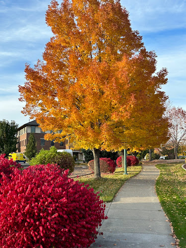 oficinas de trabajo en Coeur d’Alene