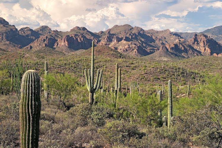 oficinas de trabajo en Scottsdale